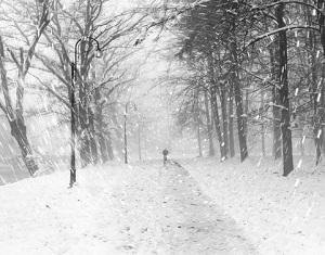 På vintern kan man bli deprimerad